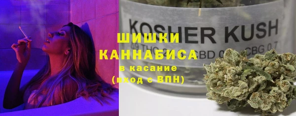 прущие грибы Покров