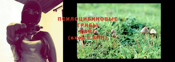 Альфа ПВП Покровск