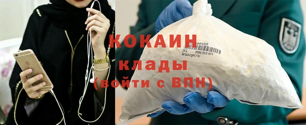 амф Удомля