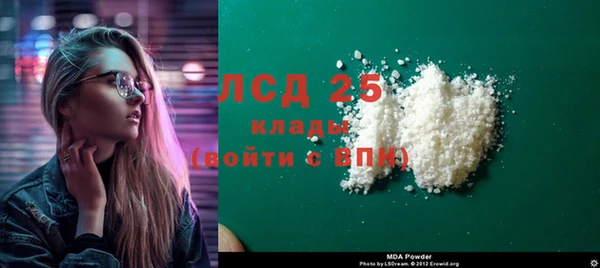 прущие грибы Покров