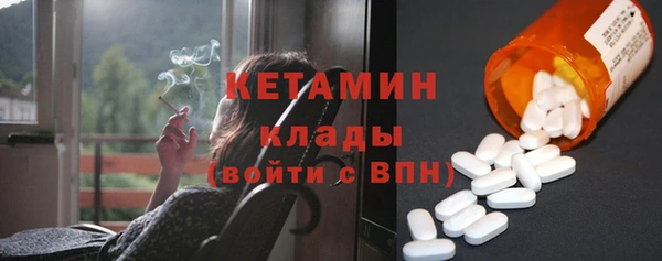 прущие грибы Покров