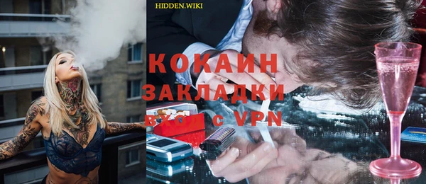 прущие грибы Покров