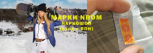 прущие грибы Покров